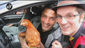 MATANO: Gallina Marta