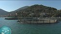 L'acquacoltura nel Golfo delle Grazie, in Liguria
