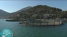 L'acquacoltura nel Golfo delle Grazie, in Liguria