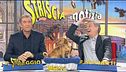 Striscia la notizia: puntata del 22 gennaio 2013