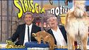15 febbraio 2013