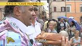 Forza Panino