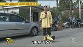 Stefania Centopercento Petyx
