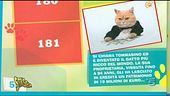 Tommasino, il gatto milionario
