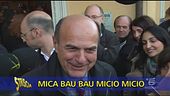 Bau bau micio micio