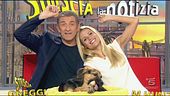 Vendita illecita di cardellini