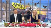 Lo stilista più amato da Striscia