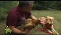 L'addestratore di cani più famoso del mondo