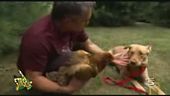 L'addestratore di cani più famoso del mondo