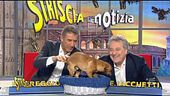 Fiera del bestiame