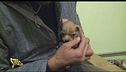 Cuccioli in difficoltà