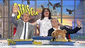 Grillo o non Grillo? La risposta del Grillologo!