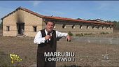 Soldi pubblici andati in fumo