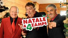 Natale a 4 zampe