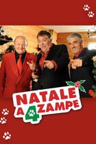 Natale a 4 zampe