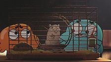 Gigante / Cavalieri