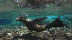 Mercoledì 21 giugno