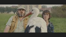 Trailer - Il comandante e la cicogna