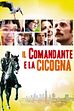 Trailer - Il comandante e la cicogna