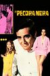 Trailer - La pecora nera (di a. celestini)