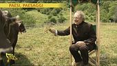 Paesi e paesaggi