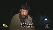 Allevamento abusivo di volpini e chihuahua