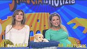 Il cane Dudù