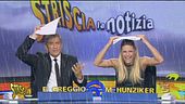 Aree cani