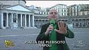 Un Abete in piazza Plebiscito