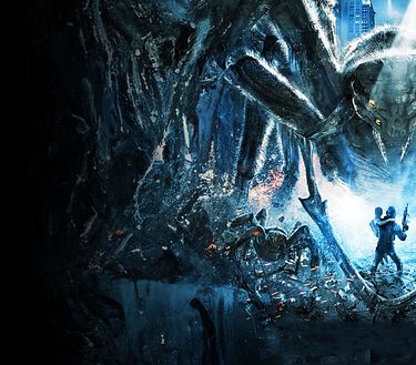 Spiders