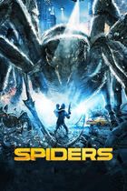 Spiders