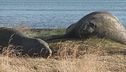 Ep. 36 - Patagonia, avventura tra i ghiacci