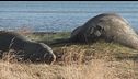 Ep. 36 - Patagonia, avventura tra i ghiacci