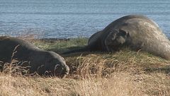Ep. 36 - Patagonia, avventura tra i ghiacci