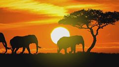 Ep. 67 - Mafia, autentico cuore d'Africa