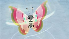 Ep. 5 - Una lotta da brivido alla palestra di Novartopoli!