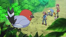 Ep. 12 - Come catturare un contrabbandiere di Pokémon!