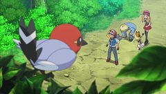 Ep. 12 - Come catturare un contrabbandiere di Pokémon!