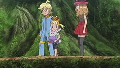 Ep. 10 - Non fare d'ogni tipo erba un fascio