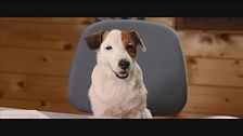Trailer - Pongo il cane milionario