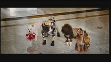 Trailer - Beverly Hills Chihuahua