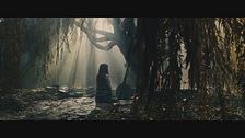 Trailer - Into the woods