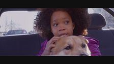 Trailer - Annie - La felicità  è contagiosa