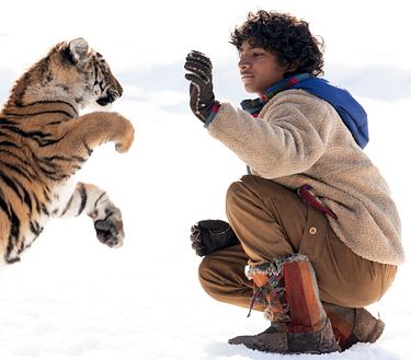 Il ragazzo e la tigre