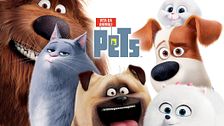 Pets - Vita da animali