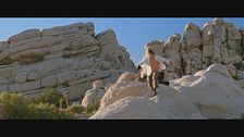 Trailer - Un anno da leoni