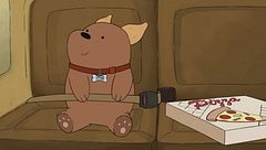 Negozio di animali