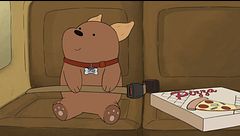 Negozio di animali