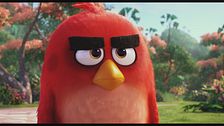 Trailer - Angry birds - il film