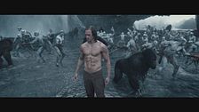 Trailer - The legend of tarzan